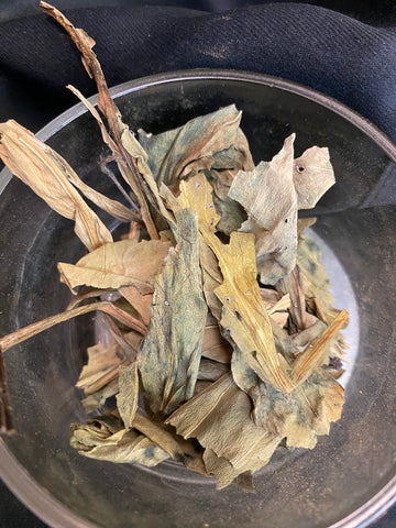Deer’s Tongue Herb