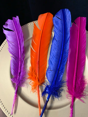 Smudging Feather