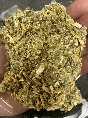 Mugwort