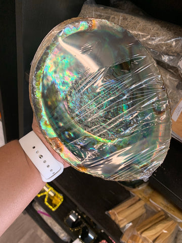 Large Abalone Shell