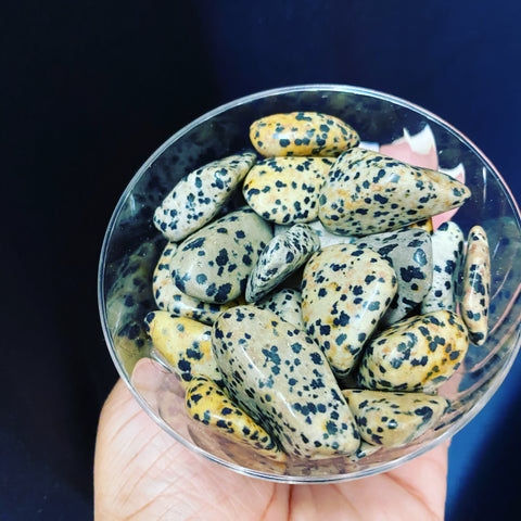 Dalmatian Jasper