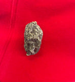 High John the Conqueror root