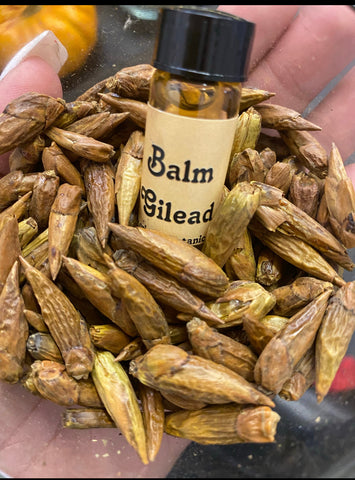 Balm of Gilead Buds