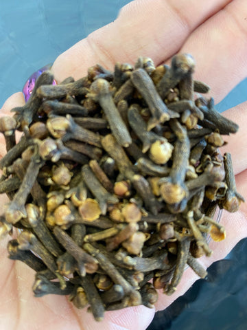 Clove