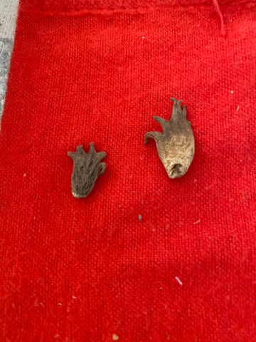 Lucky Hand Root