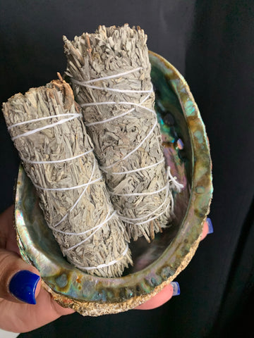 4 inch Blue Sage