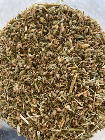 Catnip