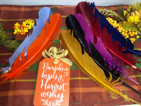 Dyed Turkey Feathers