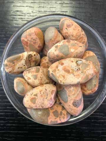 Leopardite