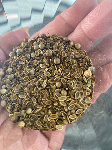Dill Seed