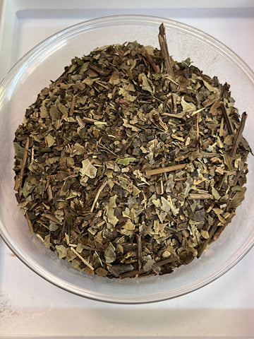 Black Walnut Leaves