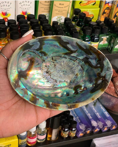 Abalone Shell