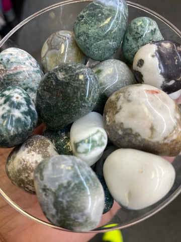 Tree Agate