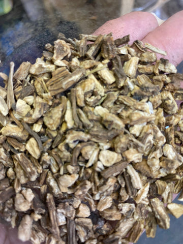 Angelica Root