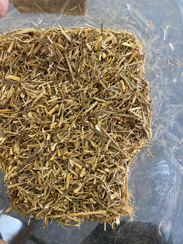 Witches Grass